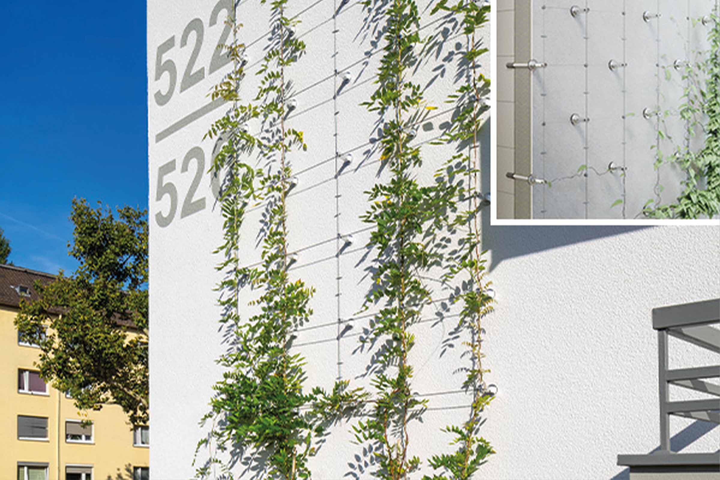 StoFix Iso-Bar Eco : Solution pour permettre l’intégration de plantes grimpantes sur des façades isolées par l’extérieur.