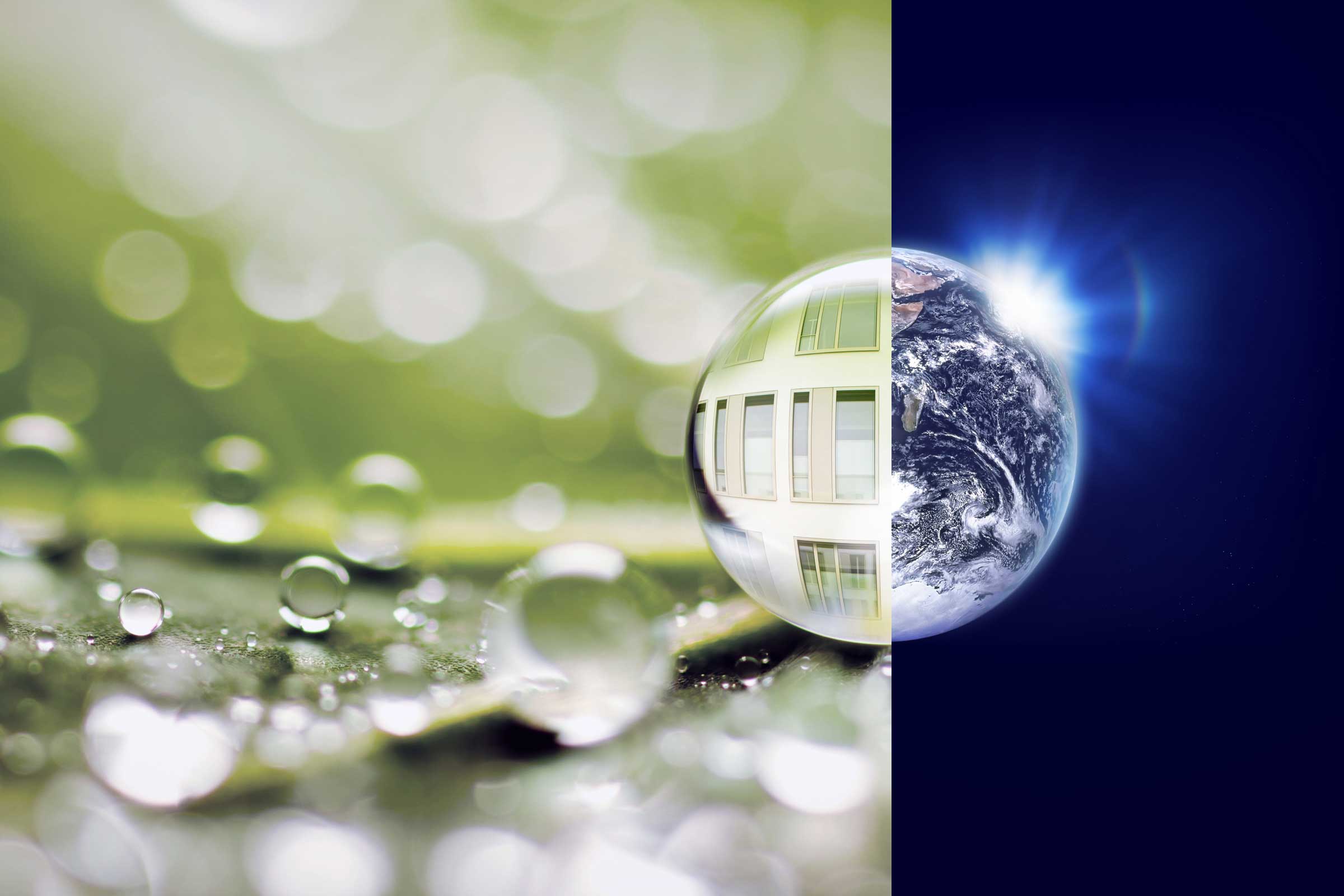 La bionique, un des moteurs de la R&D Sto. Calquer la nature pour créer des surfaces auto-nettoyante