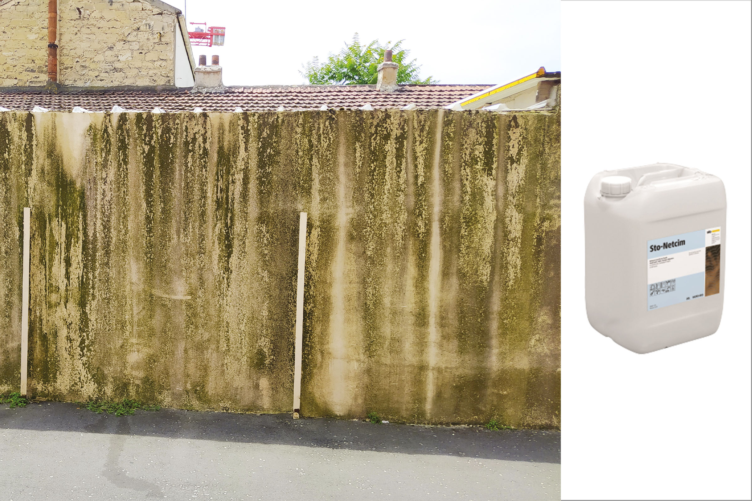 MAison encrassées par des champignons, des moisissures