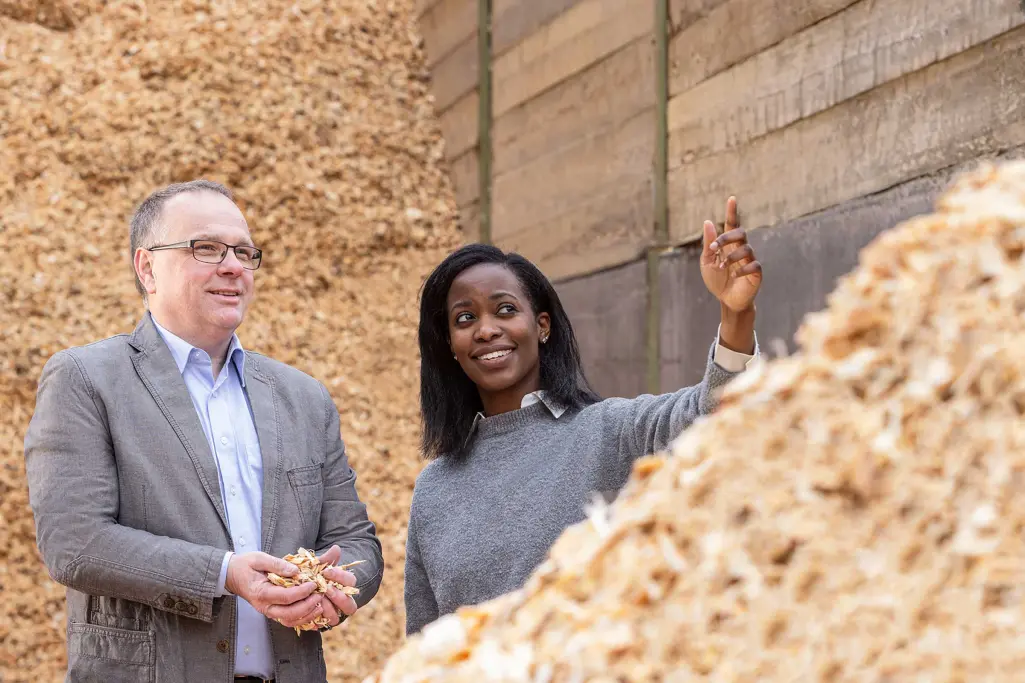 L'ITE la plus durable : émergence de l'isolation en fibres de bois de Sto. Scierie, copeaux de bois