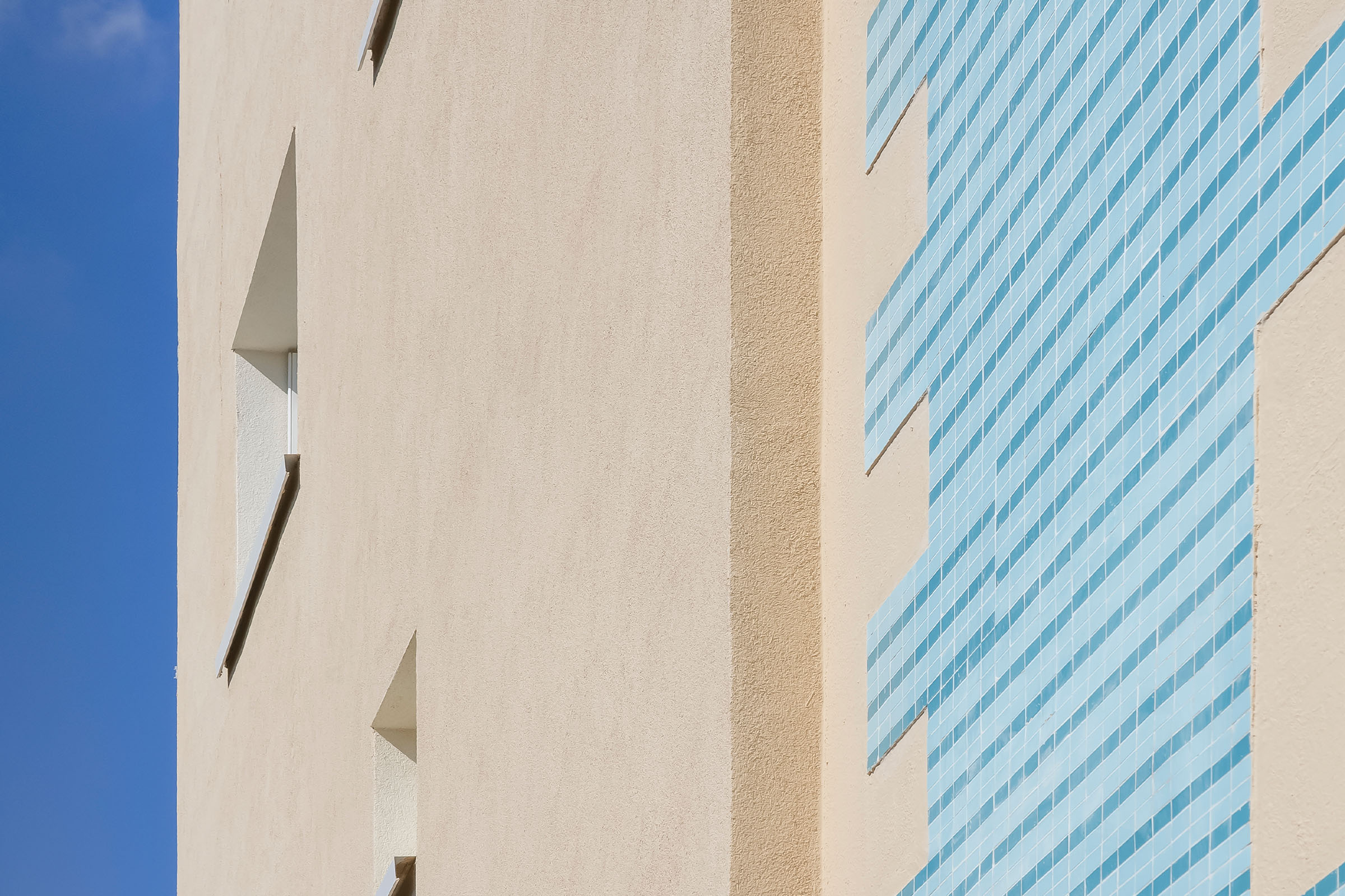 Sto_Toulon_Fleurs des champs